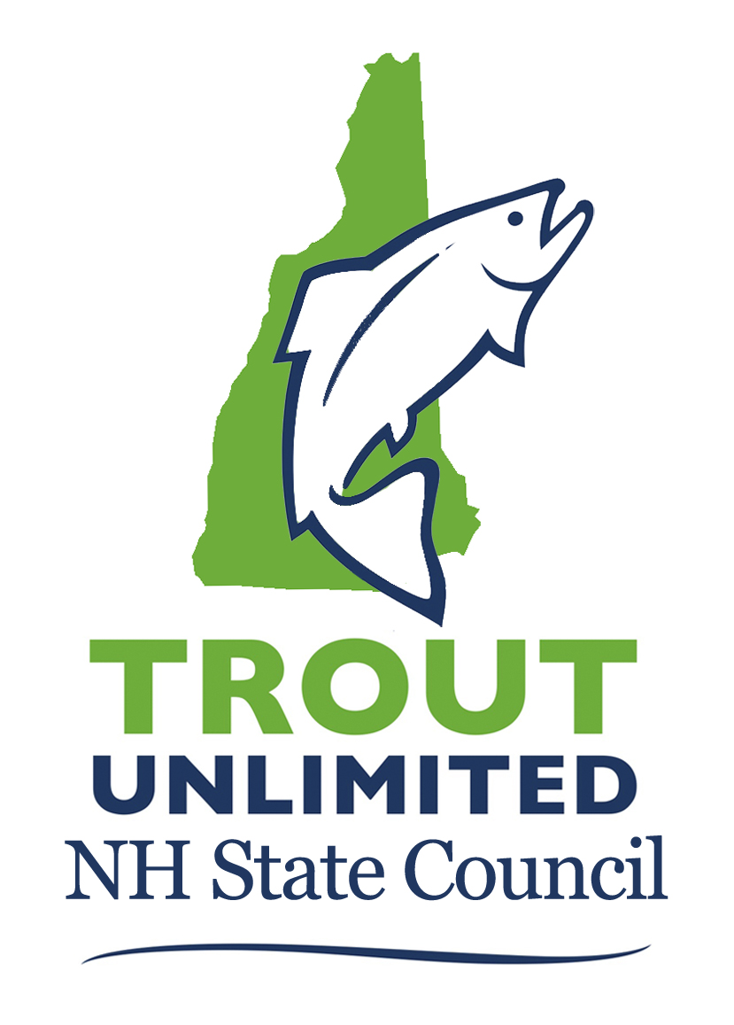 New Hampshire Council