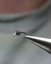 The Wired Midge