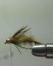 In The Round Stonefly